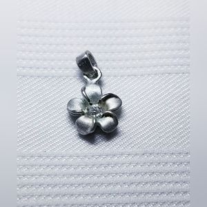 .925 Sterling Silver Pendant